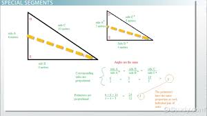 Proportional Relationships In Triangles Video Lesson Transcript Study Com