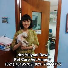 Study a pet care / veterinary course that was designed in conjunction with senior members of the profession. Pembersihan Karang Gigi Pada Anjing Kesehatan Anjing Anjingkita Com