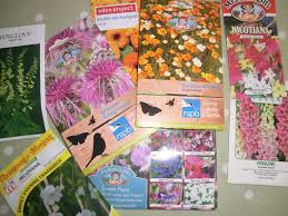 Flowers to plant now uk. Fill Gaps In Your Garden Sow Flower Seeds Now Rattan Direct