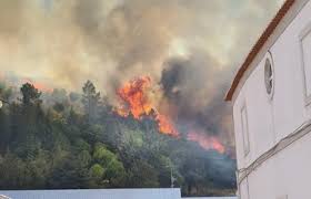 Sur, en las cercanías del estadio mágico gonzález, en san salvador. Mais De 100 Operacionais E Um Meio Aereo Combatem Incendio Em Loures Portugal Correio Da Manha