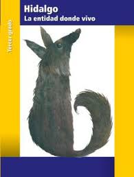 Telesecundaria chato el paco paco el chato libro de matematicas 1 telesecundaria libro. Paco El Chato 3 Grado 45 Repartos Agrupados Ayuda Para Tu Tarea De Desafios Matematicos Sep Primaria Tercero Respuestas Y Explicaciones Jenny Aprende En Casa 6to Grado G0disaw0man