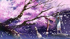 Put this into your description: The Magic Of The Internet Cherry Blossom Wallpaper Anime Cherry Blossom Anime Scenery Wallpaper