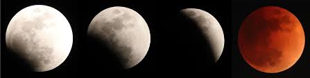 2012年12月の皆既月食。 30分ごとに撮影。 赤銅色の月の周りに地球の影があるのがわかる=大阪市 「私たちはどこから来たのか」で書き始めた連載は1年間の心づもりだったが、皆さんの声で1年延長となった。 ありがとうございました。 Mwufbxdei8nohm