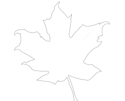 Auf dieser seite finden sie ansprechende muttertagskarten mit text zum ausdrucken und können selbst muttertagskarten oft sind es die kleinen dinge und nicht die großen geschenke, die am meisten freude bereiten. Herbstblatter Vorlage Ideal Zum Ausmalen Und Basteln Vorla Ch