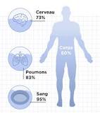 Connaissez-vous l'Eau guérissante ? Nos corps sont fait de 50 à 65% d'eau dans nos corps : Alors prenez ce médicament naturel mais pas n'importe lequel, faites vos propres recherches Images?q=tbn:ANd9GcQqL-2KGW3SiP5lTxI5b7rzdOA25a8ZyE6CdcR5GKBdow&s