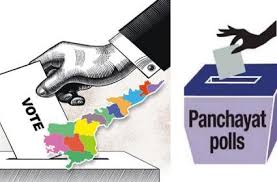 Andhra Pradesh Sec Steps Up Pace To Conduct Local Body Elections