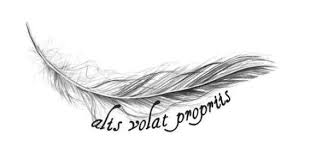 She Flies With Her Own Wings What Beautiful And Appropriate Wording For Me By Reah Feather Tattoos Rib Tattoo Bird Tattoo Ribs