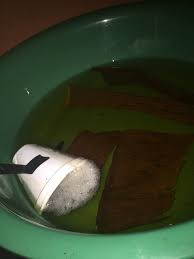 Cuci ikan patin sampai bersih, lalu potong jadi 3 bagian dan beri perasan. Cara2 Pembiakan Ikan Laga Rf Betta Pondok Ikan Laga Facebook