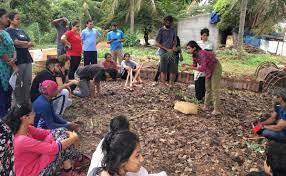 Jakkur S Community Gardens Growing Your Diet By The Lake Bengaluru Sustainability Forum