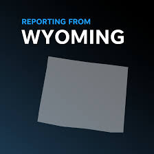 In other words, the outcome is never certain. Chess Master 10 Year Old Tani Adewumi Once Homeless Wins Title