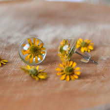 Image result for foto Vitálka