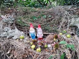 Epingle Par Catherine Delahaye Sur Le Jardin Des Sambucs Jardins