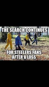 10 Steelers Meme Ideas In 2021 Steelers Meme Steelers Nfl Funny