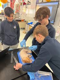 Mary, Queen of Heaven...