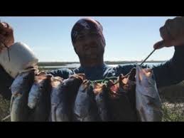 bolivar peninsula fishing explaining tides eddy and fish