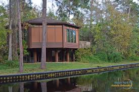 It's very pretty all lit up. Saratoga Springs Disney Treehouse Villa Disney Vacation Club