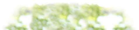 Check spelling or type a new query. Mn Pets Resources 612 354 8500 Gentle Home Euthanasia Mn Pets