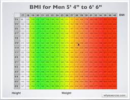 Body Mass Index With Health Risk Charts And Illustrations