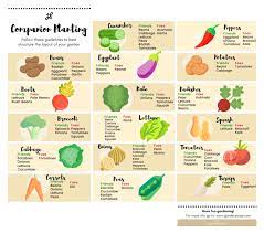 Maybe you would like to learn more about one of these? Companion Planting Guide Gardenstead