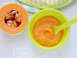Baby Food Butternut Squash Puree Butternut Squash Baby Food Squash Baby Food Recipe Baby Food Recipes