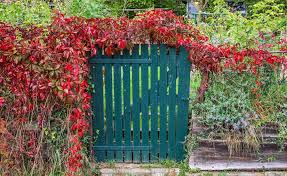 Gartentor Die Pforte Ins Grun Gartentor Traumgarten Garten