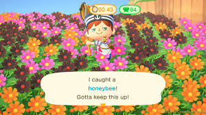 New horizons, including its selling price at nook's cranny and whether it's part. Bug Off Event Guide Prize Items Dates How To Get Most Points In Animal Crossing New Horizons