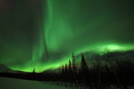This means that swedish freak will earn a commission if you purchase. Swedish Nature Tours Guide And Trip To Sweden