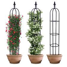 Great for training ivy or miniature roses. High Quality 1 6m Mini Garden Tower Trellis Obelisk For Climbing Rose Plant Buy Rose Support Trellis Tower Trellis Obelisk Rose Plant Climbing Trellis Product On Alibaba Com