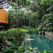 25 Natural Swimming Pool Designs For Your Small Backyard Home Design And Interior Small Backyard Pools Pool Landscaping Backyard