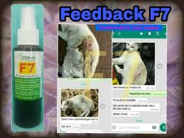 Ubat kurap di farmasi, ubat kurap cap kaki tiga, ubat kurap paling mujarab, ubat kurap kucing, ubat kurap tradisional, ubat kurap manusia, u. Ps Herbs Hq Spray F7 Ubat Kurap Kudis Fungus Kucing Anjing Shopee Malaysia