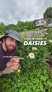 Daisy Tuck