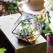 Modern Tabletop Glass Terrarium Planter Box Diy Decorative Flower Pot Black Terrarios Vidrio