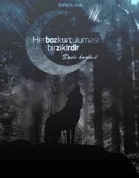 Asena Katun Resim Turkler Resim Duvari