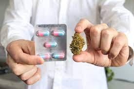 Weeding Out The Truth Can Cannabis Improve Huntington S Hdbuzz Huntington S Disease Research News