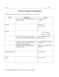 Nervous System Vocabulary