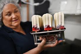 Stock market professional turned Petaluma paleta maker shares recipes for  summer