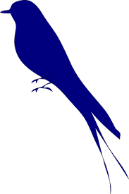 Itu tadi, beberapa jenis lovebird tercantik lengkap dengan gambarnya. Love Bird Gambar Vektor Unduh Gambar Gratis Pixabay
