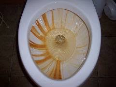 Bleach and other disinfectants are not suitable for consumption or injection under any circumstances. How To Remove Rust Stains From Sinks Showers Other Surfaces