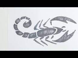 How To Draw Scorpion Tribal Tattoo Youtube Tattoos Gallery Tribal Tattoos Easy Scorpion Drawing