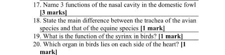 The nasal cavity is formed by the vomer and the nasal, lachrymal, and turbinate bones. Solved 17 Name 3 Functions Of The Nasal Cavity In The Do Chegg Com