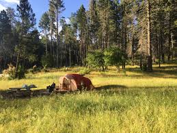 There are 27 state parks, and some of the more popular ones include oliver lee memorial state park and navajo lake state park. New Mexico The Dyrt