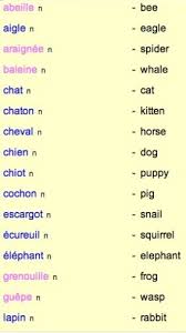 Basic French Apprendre L Anglais Phrases En Francais Apprentissage De La Langue Francaise