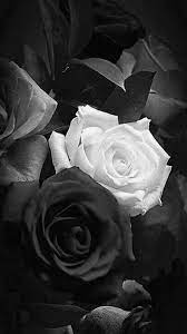 Post Anything From Anywhere Customize Everything And Find And Follow What You Love Create Black Flowers Wallpaper Black And White Roses Black Rose Flower