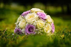 The perfect filler flower for delicate and dainty wedding bouquets (think princess kate's wedding bouquet.) this white flower symbolizes purity, humility, happiness and sweetness. Free Stock Photo Of Purple And Yellow Flowers Download Free Images And Free Illustrations