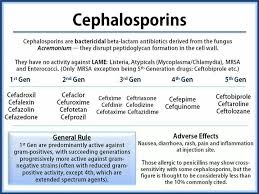 nursing consideration cross allergy with penicillins