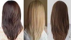 We did not find results for: Gunting Rambut Fox Tail 46 Foto Menampilkan Gaya Rambut Chanterelles Untuk Rambut Pendek Bagaimana Cara Memotong Rambut Wanita Ke Bahu