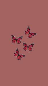 Maybe you would like to learn more about one of these? ððð Butterfly Wallpaper Iphone Iphone Wallpaper Images Aesthetic Iphone Wallpaper
