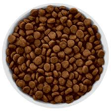 hill s prescription diet z d canine small bites dog food dry