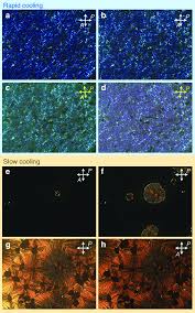 Image result for Polarized Microscopy