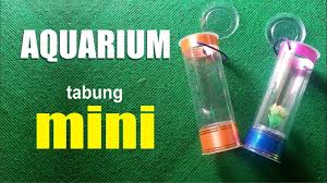 Cara membuat hiasan aquarium dari styrofoam pun akan kami paparkan dengan penjelasan yang sangat jelas dan proses pembuatannya tidak begitu rumit seperti membuat hiasan akuarium dari barang akrilik ataupun kaca yang notabenya mudah pecah.selain pembuatannya tergolong mudah juga harga jual styrofoam tergolong murah, satu lembar styrofoam harganya tidak mencapai 30 ribu rupiah dan satu lembar. Cara Membuat Aquarium Mini Sederhana Youtube